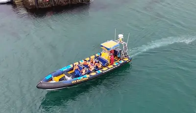 In the harbour, from above