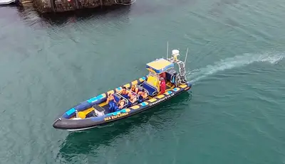 In the harbour, from above