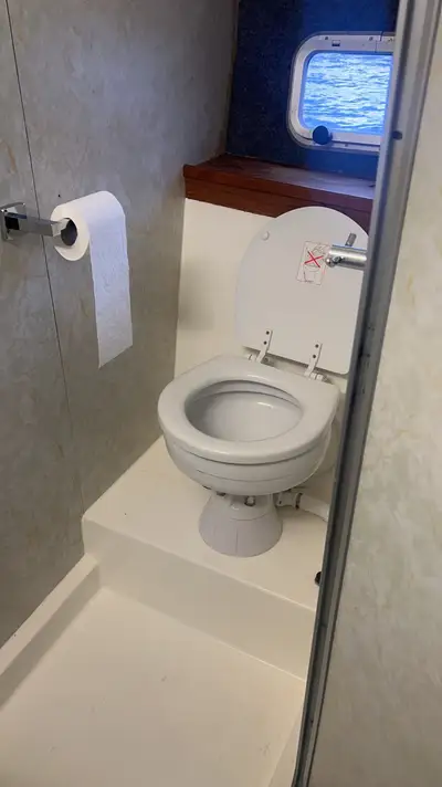 Second heads and shower