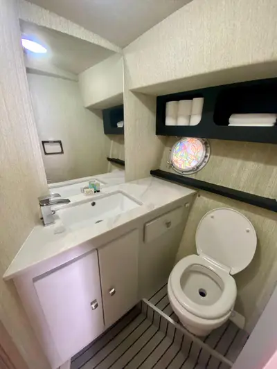 1981 Fairline 40 — Heads — vanity and electric sea toilet